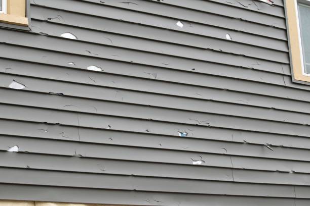 Best Insulated Siding Installation  in West Liberty, KY